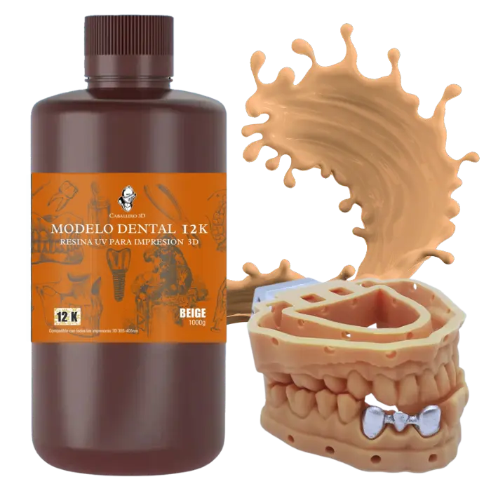Caballero 3D Modelo Dental 12K