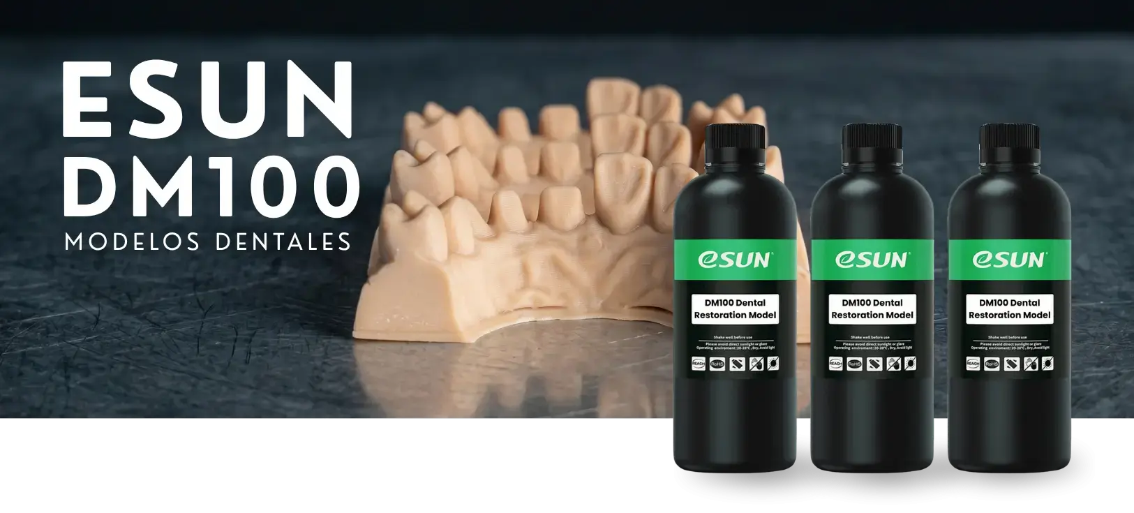 Esun DM100 Dental Model